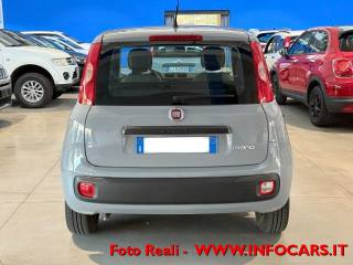 FIAT Panda usata 15