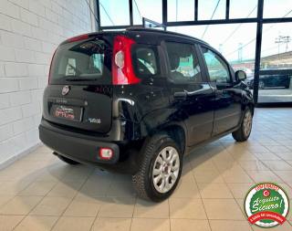 FIAT Panda usata, con Alzacristalli elettrici