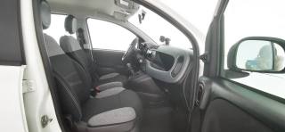 FIAT Panda usata 53