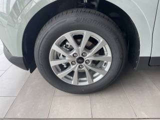 FORD Tourneo Courier usata, con Bracciolo