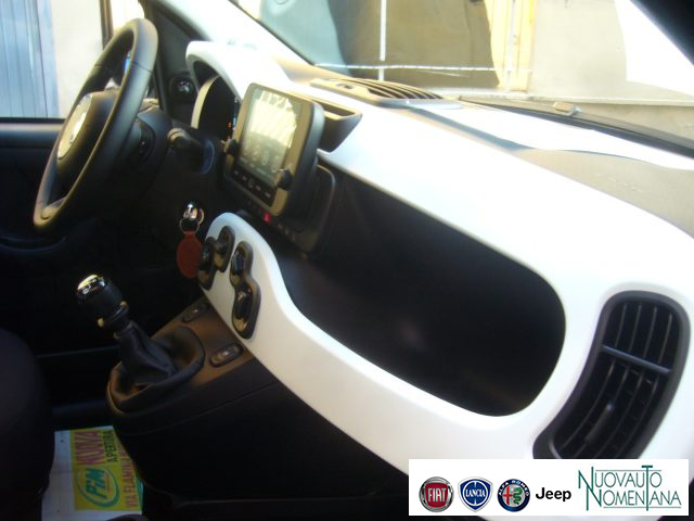 FIAT Panda Cross usata, con Airbag testa