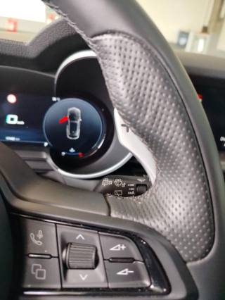 ALFA ROMEO Stelvio usata 35