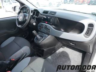 FIAT Panda usata 12