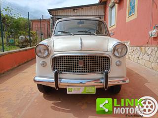 FIAT 1100 usata 4
