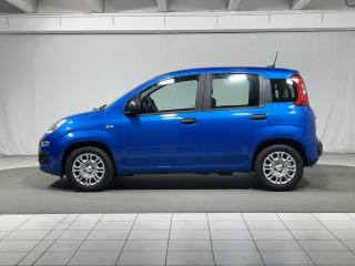 FIAT Panda usata, con Airbag