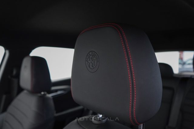 ALFA ROMEO Tonale usata, con Vetri oscurati