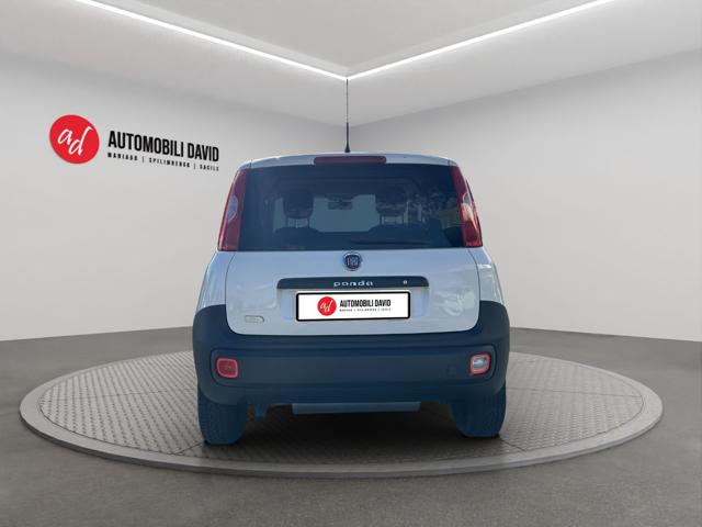 FIAT Panda usata, con Antifurto