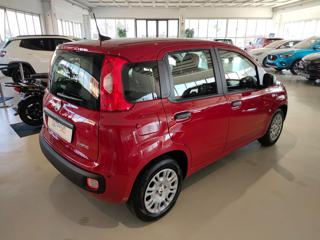 FIAT Panda usata, con Alzacristalli elettrici