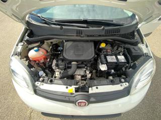 FIAT Panda usata 27
