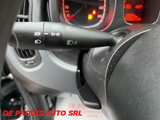 FIAT Panda Cross usata, con Controllo trazione