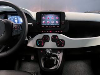 FIAT Panda usata, con Fendinebbia