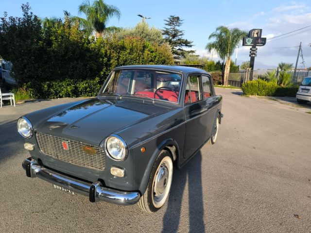 FIAT 1100 usata 2