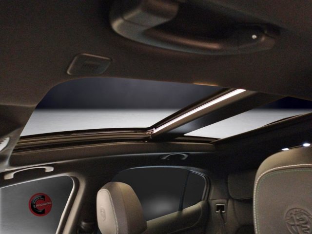 ALFA ROMEO Stelvio usata 15