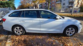 SKODA Octavia usata, con Cerchi in lega