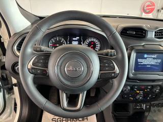 JEEP Renegade usata, con Cruise Control