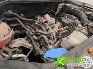 VOLKSWAGEN Polo usata 20