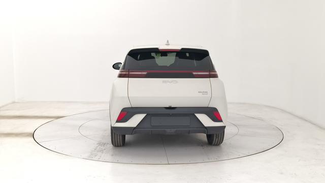 BYD Dolphin Surf usata, con Alzacristalli elettrici