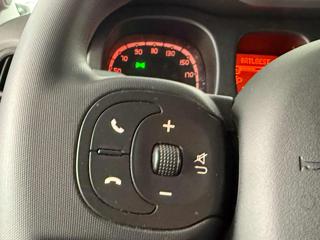 FIAT Panda usata 13