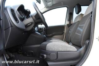 FIAT Panda usata 11