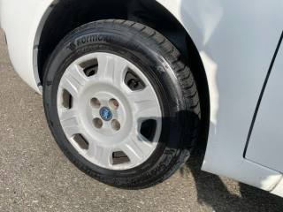 FIAT Punto usata 13