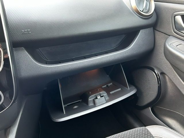 RENAULT Clio usata, con Volante in pelle
