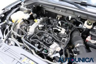 FORD Focus usata 62