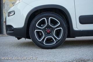 FIAT Panda usata 16