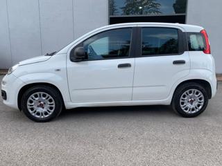 FIAT Panda usata, con Climatizzatore