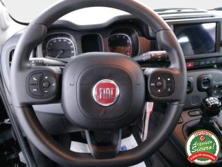 FIAT Panda usata, con Fendinebbia