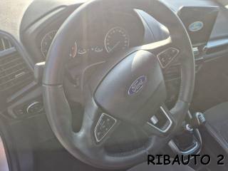 FORD EcoSport usata, con Bracciolo