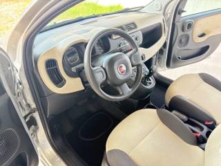 FIAT Panda usata 36