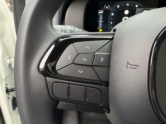 FIAT Panda usata, con Controllo trazione