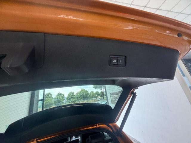AUDI Q8 usata, con Cronologia tagliandi