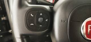 FIAT Panda Cross usata 64