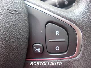 RENAULT Clio usata, con Specchietti laterali elettrici