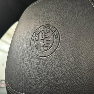 ALFA ROMEO Stelvio usata, con Cronologia tagliandi