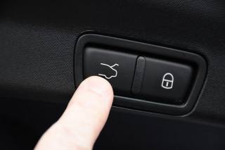 ALFA ROMEO Stelvio usata, con Cruise Control