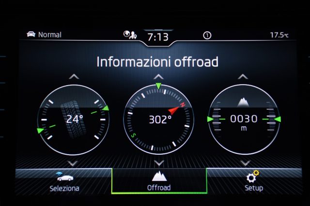 SKODA Kodiaq usata, con ESP