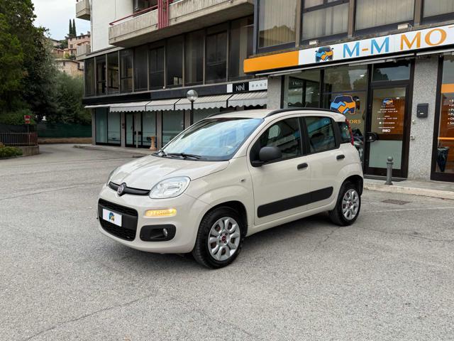 FIAT Panda usata, con Fendinebbia