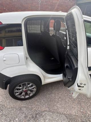 FIAT Panda usata 11