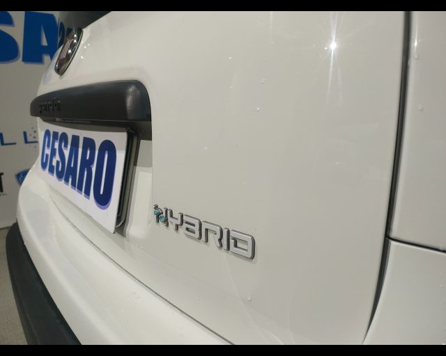 FIAT New Panda usata 21