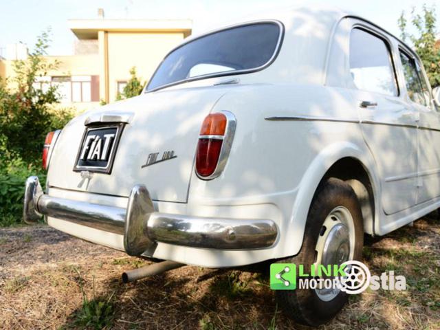 FIAT 1100 usata 43