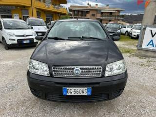 FIAT Punto usata, con Airbag