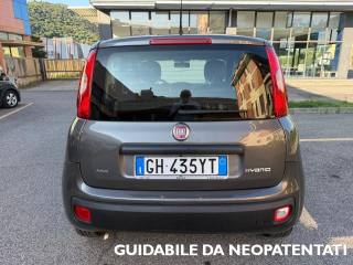 FIAT Panda usata, con Alzacristalli elettrici