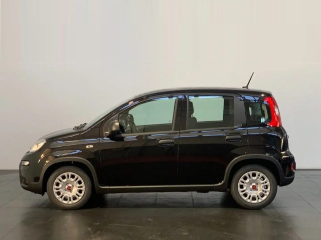FIAT Panda usata, con Antifurto