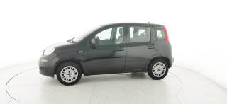 FIAT Panda usata, con Airbag Passeggero