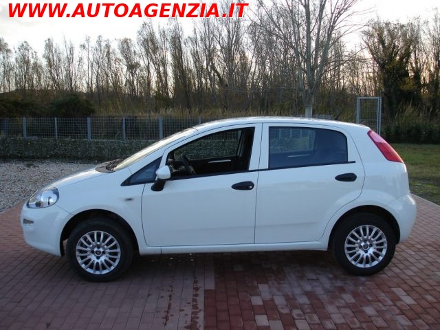 FIAT Punto usata 2
