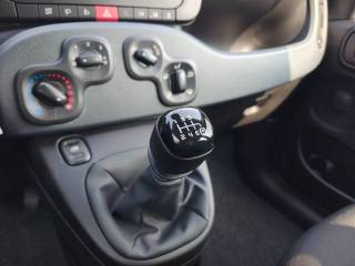 FIAT Panda usata 19
