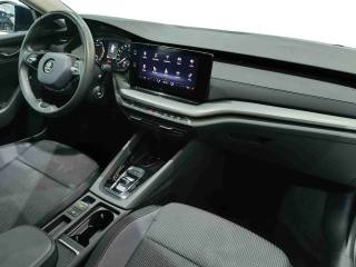 SKODA Octavia usata, con Controllo trazione