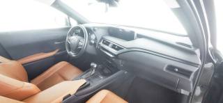 LEXUS UX 250h usata, con Assistente abbaglianti